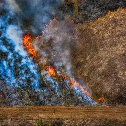 March 2020 (Shaker Village of Plesant Hill)
